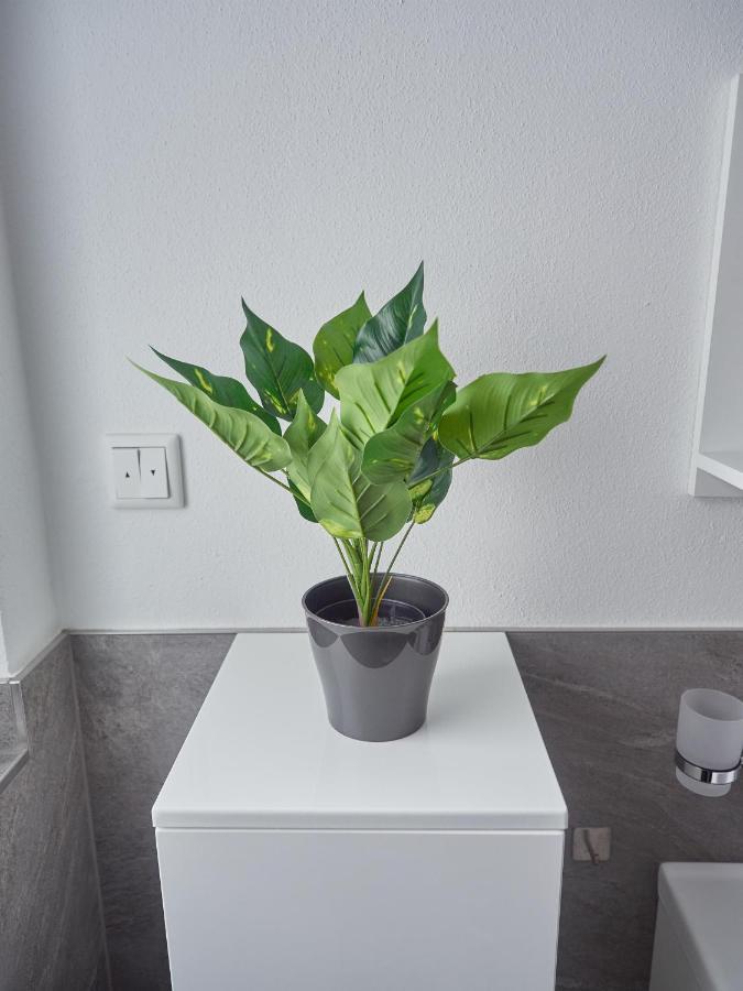 Apartment Zur Lustigen Gabi *
